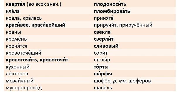 Магазин Куда Ударение Магазин Куда Ударение