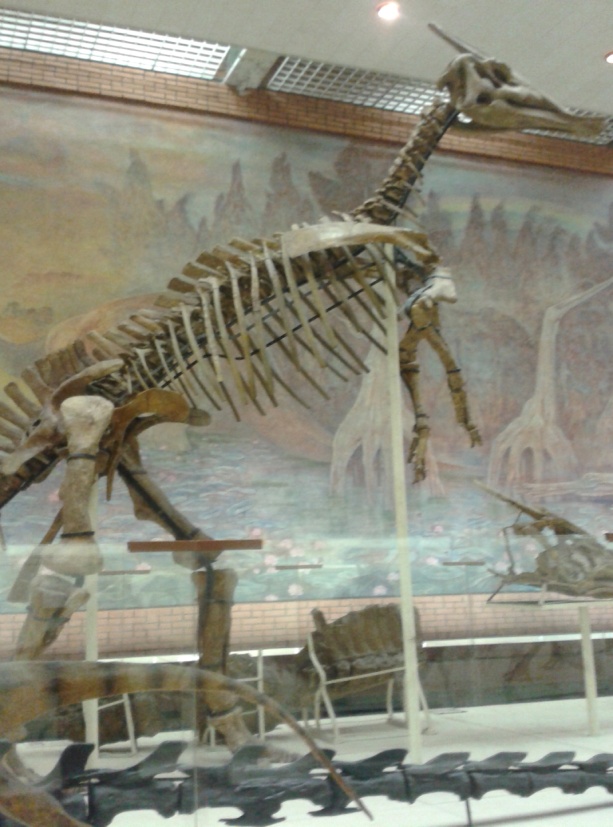 экскурсия в палеонтологический музей