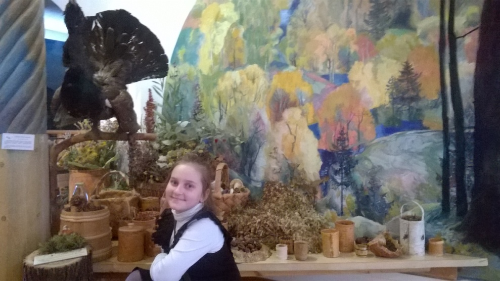 Всероссийский музей леса