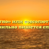 «Абсолютно» или «обсолютно» — как правильно пишется слово?