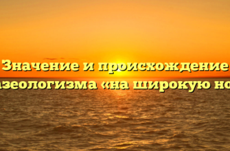 Значение и происхождение фразеологизма «на широкую ногу»