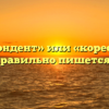 «Корреспондент» или «кореспондент» — как правильно пишется слово?