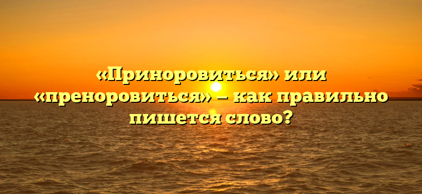 «Приноровиться» или «преноровиться» — как правильно пишется слово?