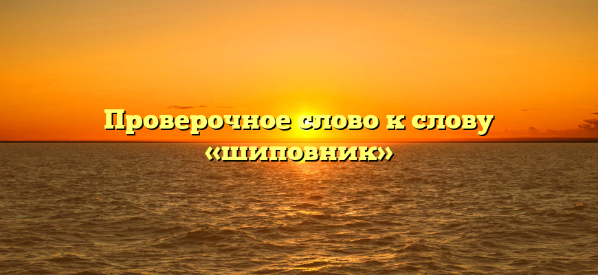 Проверочное слово к слову «шиповник»