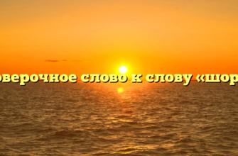 Проверочное слово к слову «шорох»