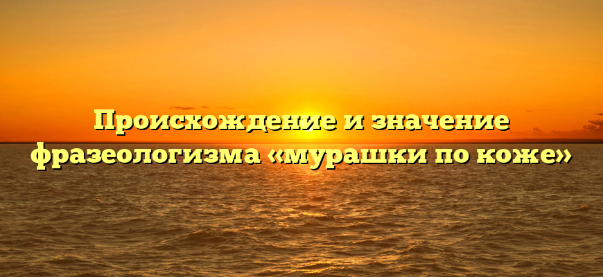 Происхождение и значение фразеологизма «мурашки по коже»