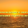Происхождение и значение фразеологизма «притча во языцех»