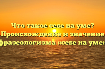 Что такое себе на уме? Происхождение и значение фразеологизма «себе на уме»