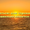 «Прикасаться» или «прикосаться» — как правильно пишется слово?