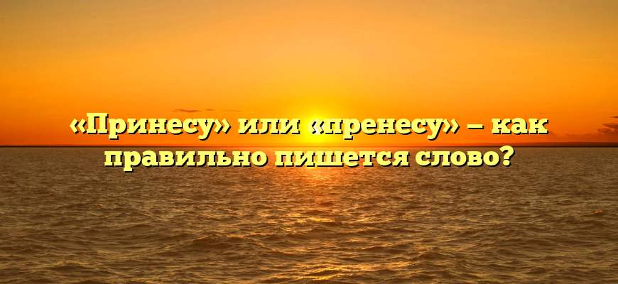 «Принесу» или «пренесу» — как правильно пишется слово?