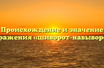 Происхождение и значение выражения «шиворот-навыворот»