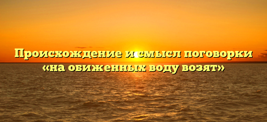 Происхождение и смысл поговорки «на обиженных воду возят»