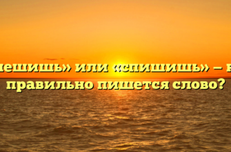 «Спешишь» или «спишишь» — как правильно пишется слово?