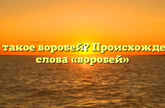 Что такое воробей? Происхождение слова «воробей»