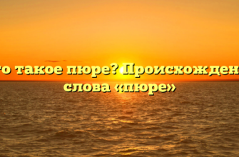 Что такое пюре? Происхождение слова «пюре»