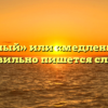 «Медленный» или «медленый» — как правильно пишется слово?