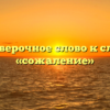 Проверочное слово к слову «сожаление»