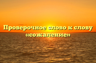 Проверочное слово к слову «сожаление»