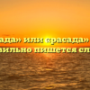 «Рассада» или «расада» — как правильно пишется слово?