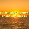 Что такое паспорт? Происхождение слова «паспорт»