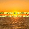 Акция добра и милосердия «Покормите птиц зимой!»